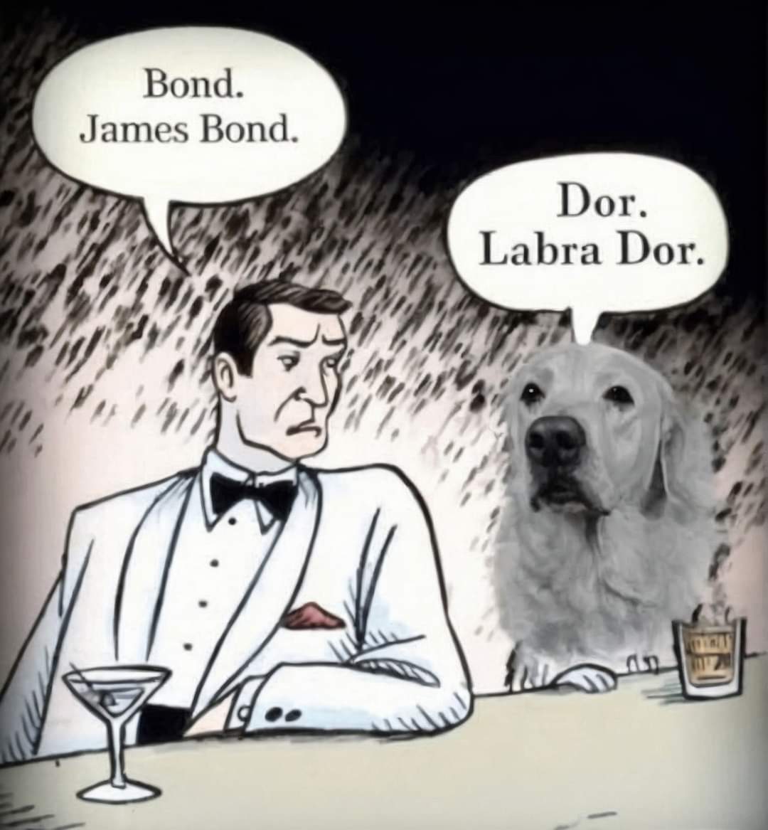 FB_IMG_1715598890666