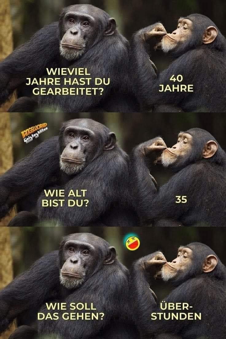 FB_IMG_1722012155756