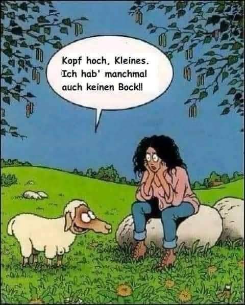 FB_IMG_1727448374370