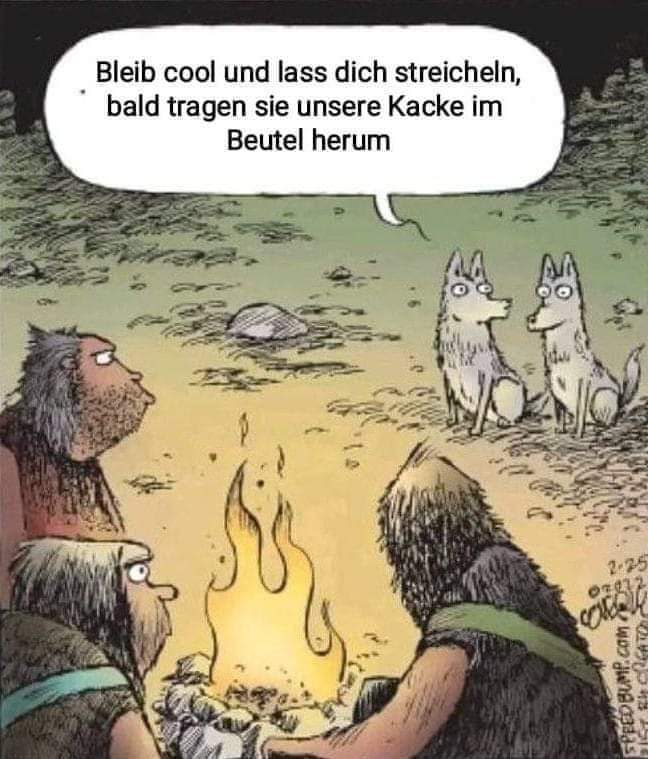 FB_IMG_1728587827383