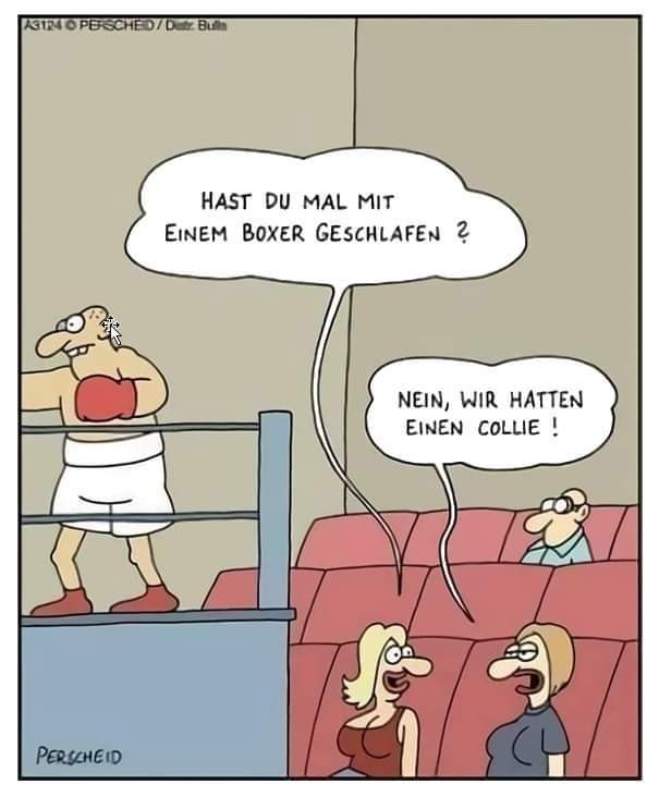 FB_IMG_1728756075082