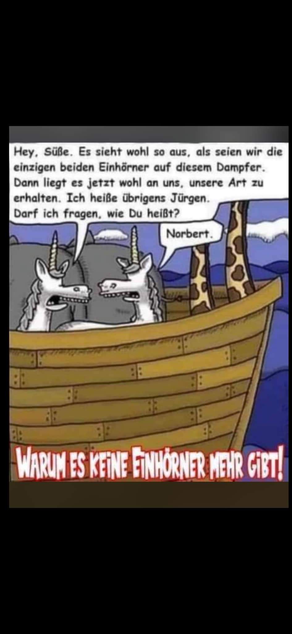 FB_IMG_1730065163274