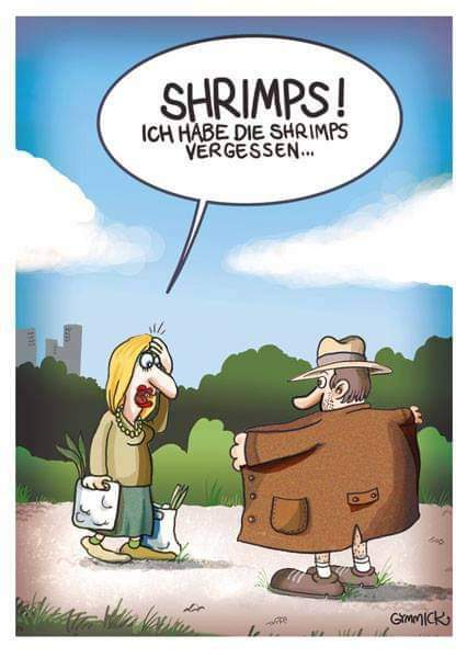 FB_IMG_1731104824571