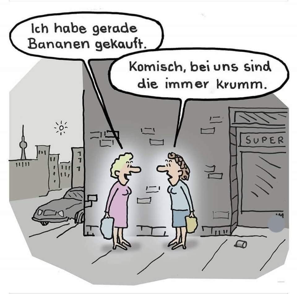 FB_IMG_1731453534722