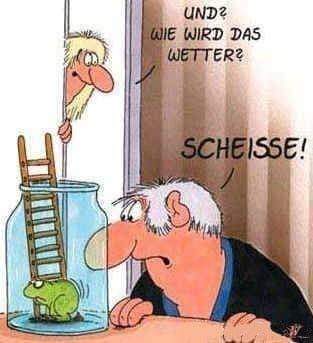 FB_IMG_1732524136041