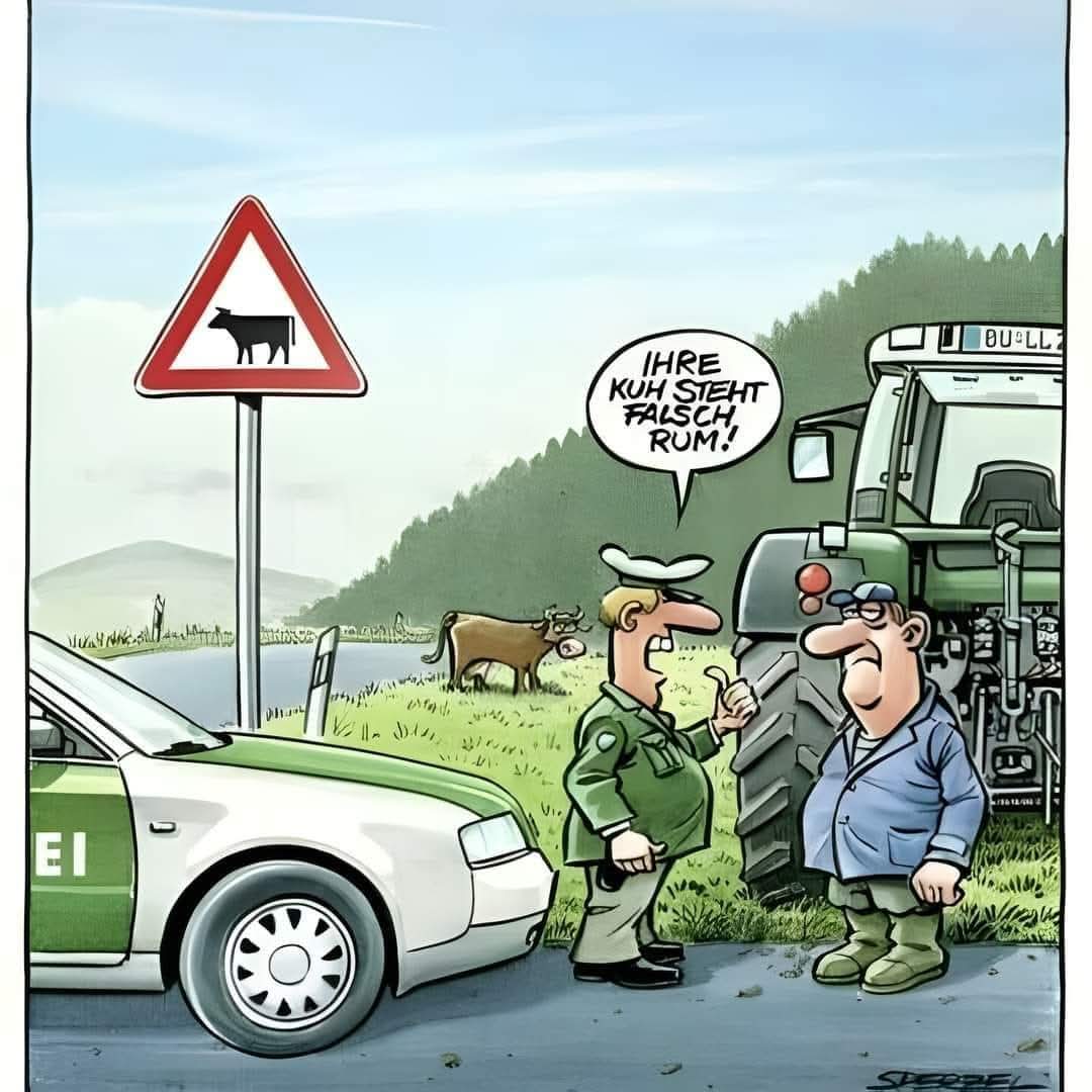 FB_IMG_1734623803273