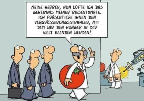 FB_IMG_1746985814630