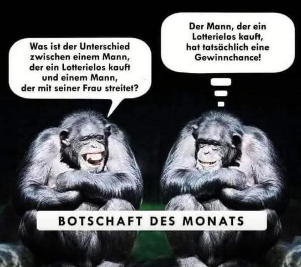 FB_IMG_1747241397401