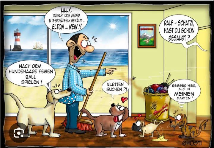 FB_IMG_1749542413177