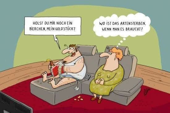 FB_IMG_1749818908395